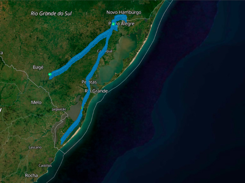 infomap_01
